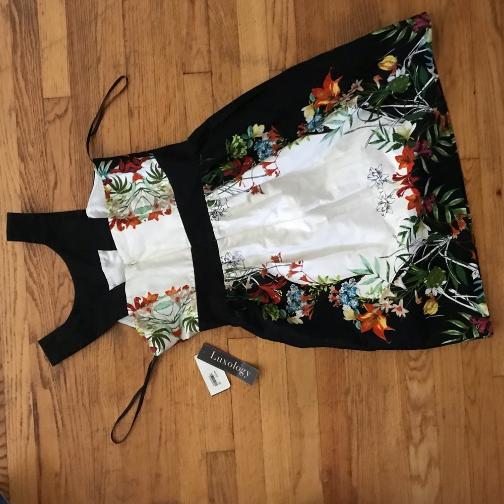 Sundress - Picture 4 of 5